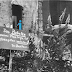 07 Plantation.jpg