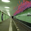 U8-12-bern-NIOU.jpg